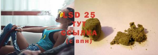 ECSTASY Белокуриха