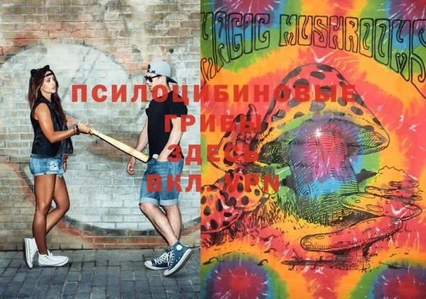 ECSTASY Белокуриха