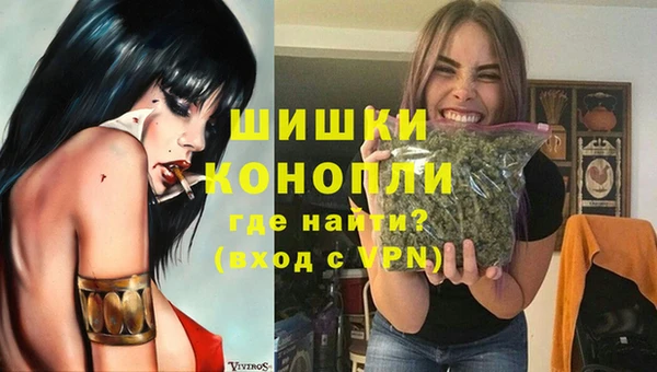 ECSTASY Белокуриха