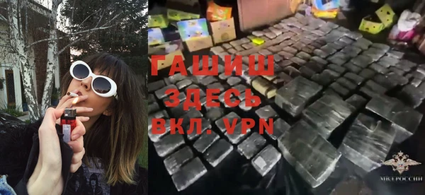 гидра Аша