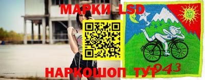 гидропоника Балашиха