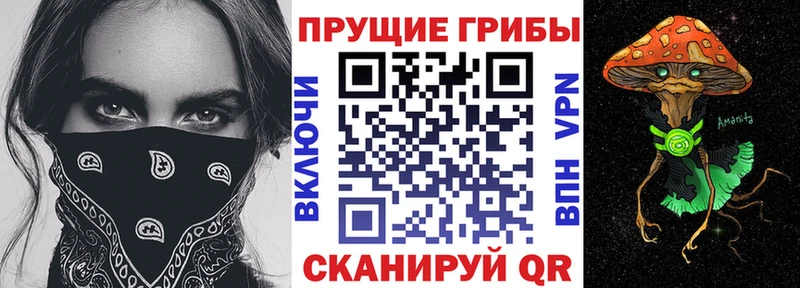 Псилоцибиновые грибы прущие грибы Вязники