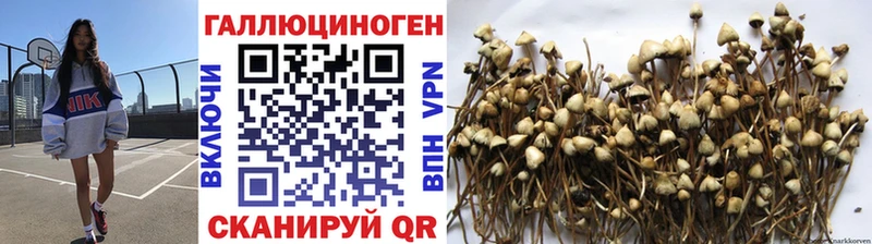 Псилоцибиновые грибы мицелий  площадка формула  Вязники  где купить наркоту 