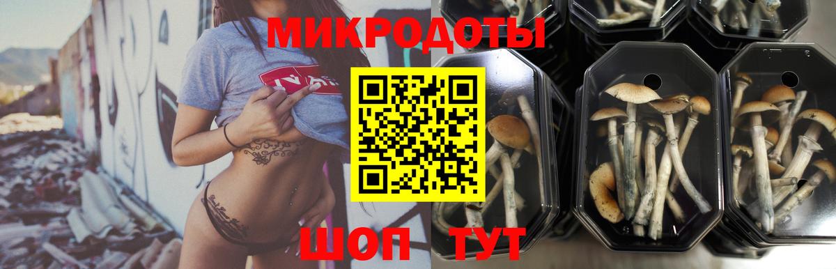 Галлюциногенные грибы мицелий  Галлюциногенные грибы Psilocybe  Вязники  Вход с VPN 